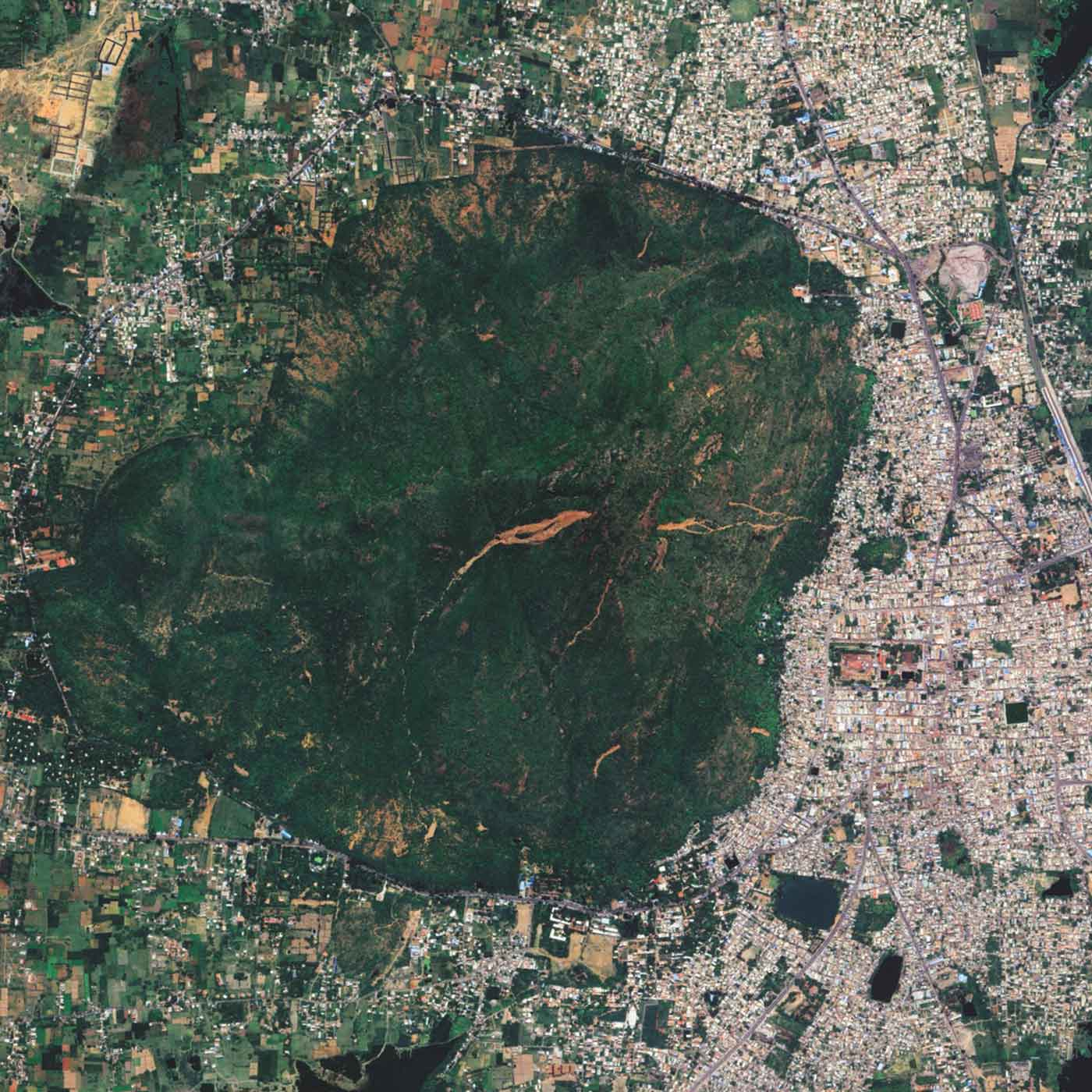 Google Earth Satellite